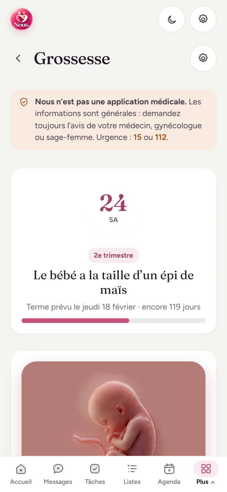 Capture d’écran : Grossesse